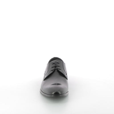  | 041XS036