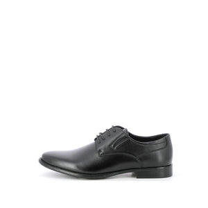 BOTTESINI Derby Oxfords
