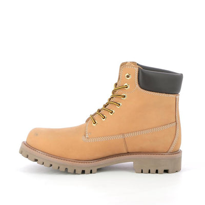  | 116XM019