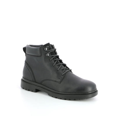 ANDALO | 121XW062