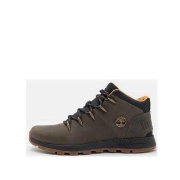 TIMBERLAND Baskets - Couleur: Vert - Mano Shoes and Bags