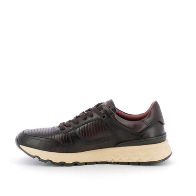  | 160XW153