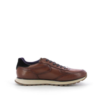  | 160XS195