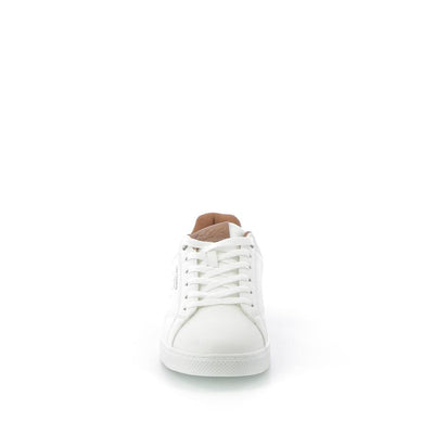  | 162XS067