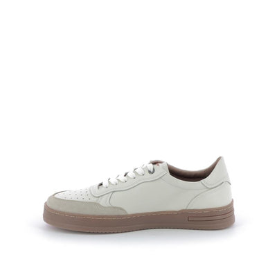  | 163XW106