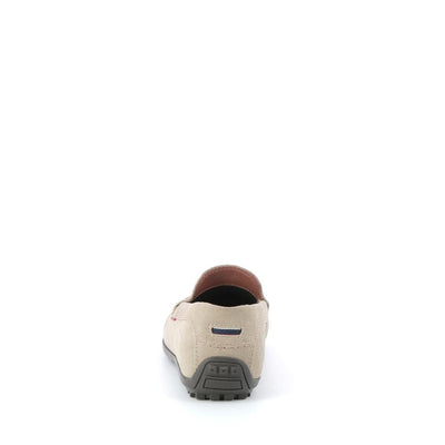 | 173XS020