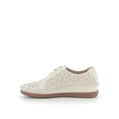 | 202XW046