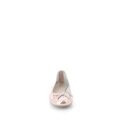 | 219XS025