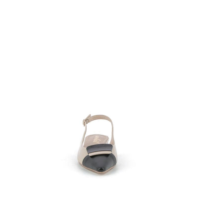  | 229XS002
