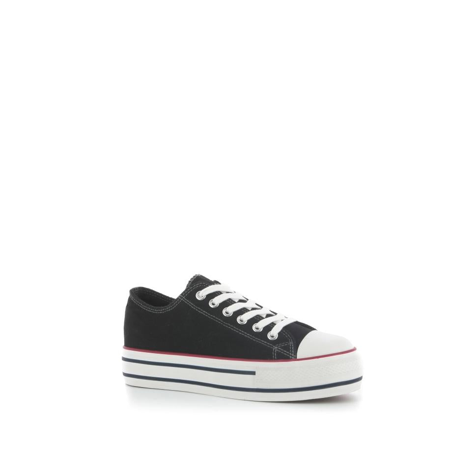  | 231XM1L1