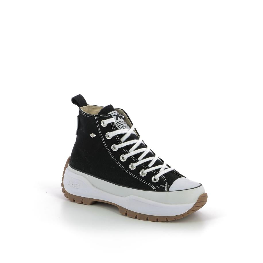  | 231XM1N6