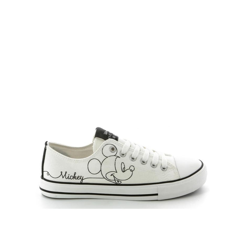 MICKEY Canvassen