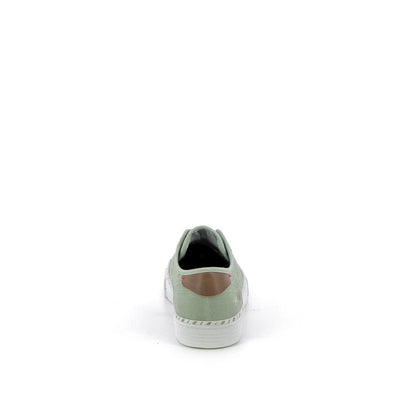  | 237XS025