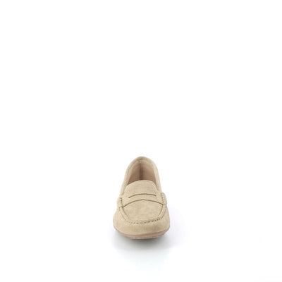  | 243XM038