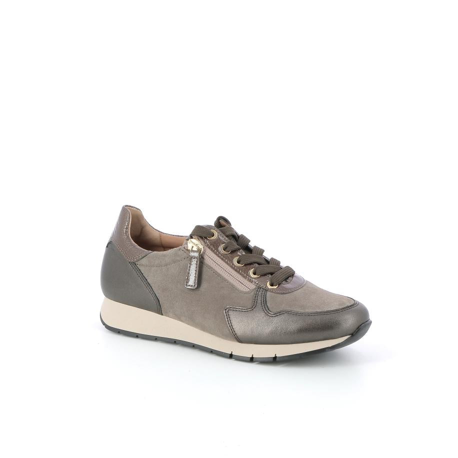  | 250XW263