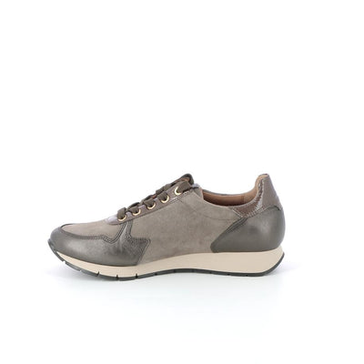  | 250XW263