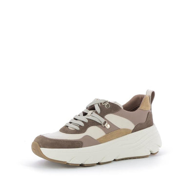  | 250XW453