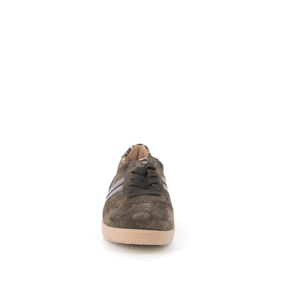  | 250XW497