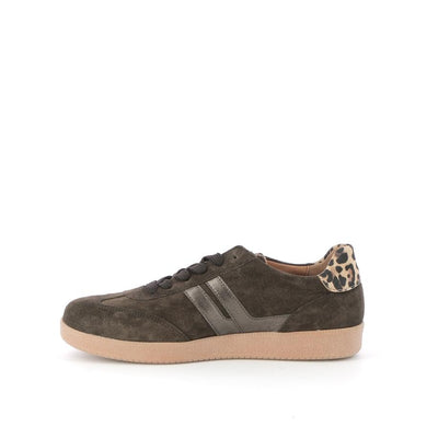  | 250XW497