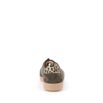  | 250XW497