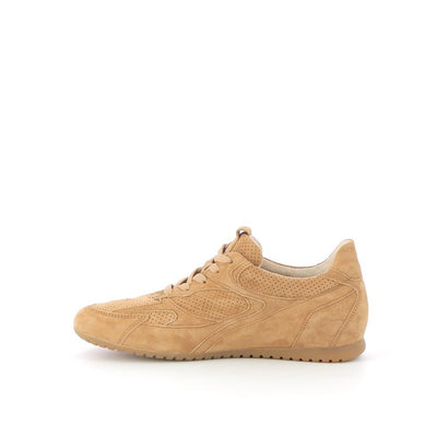  | 250XW732