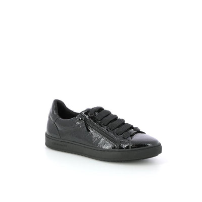  | 251XS231