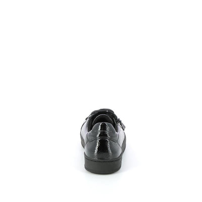  | 251XS231