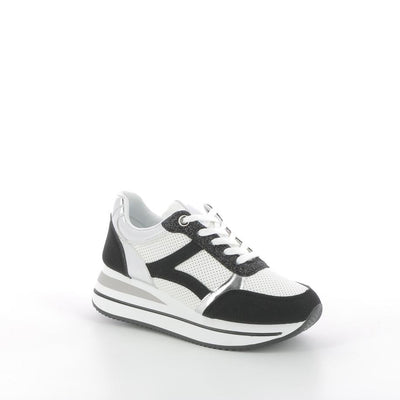  | 251XS233