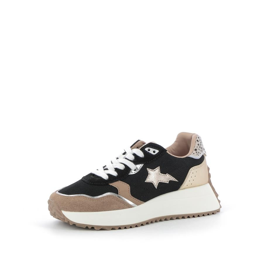  | 251XS519