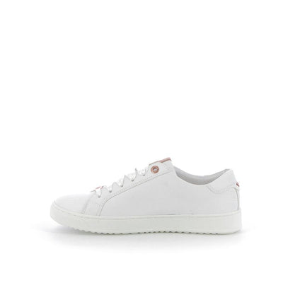  | 252XS0I6