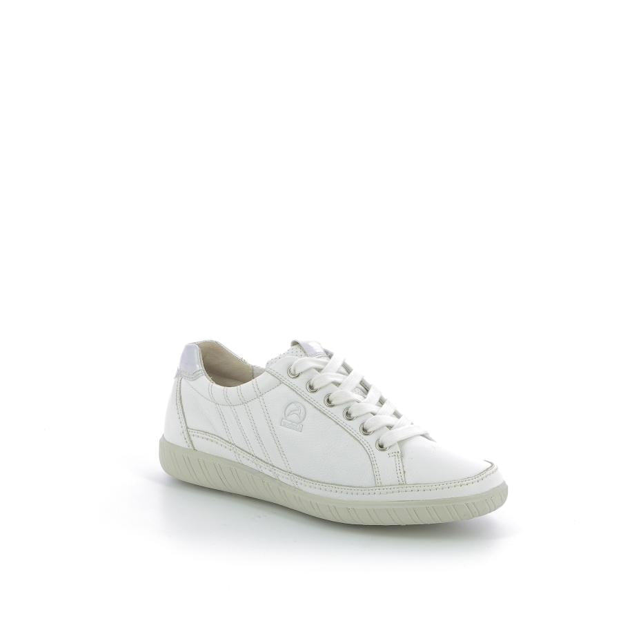  | 252XW0Q5