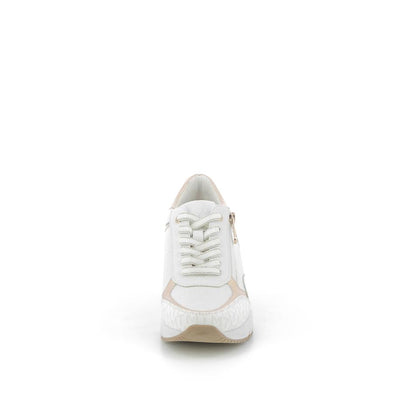  | 252XS120