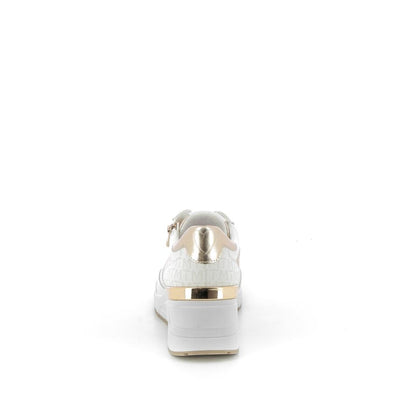  | 252XS120