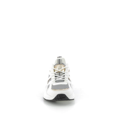  | 252XM173