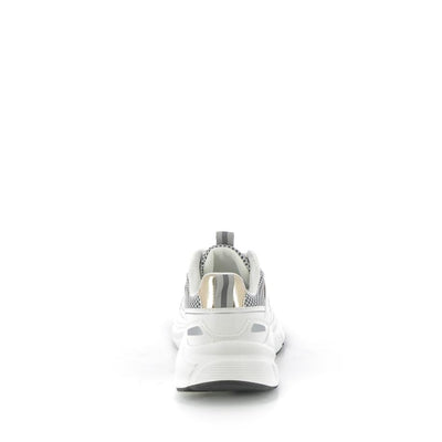  | 252XM173
