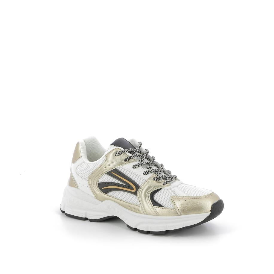  | 252XS175