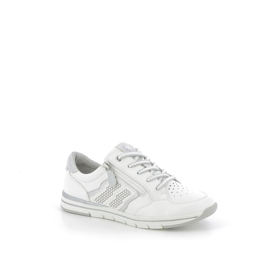  | 252XS176