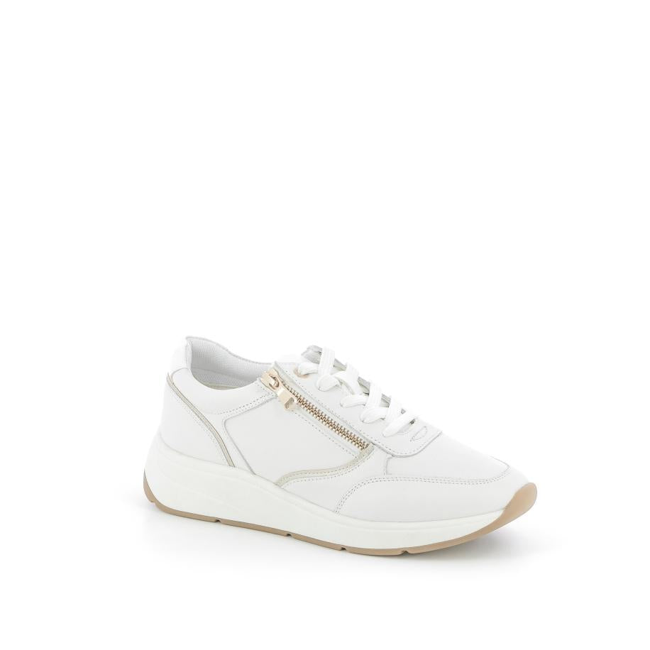  | 252XW1A7