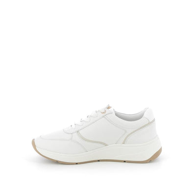  | 252XW1A7