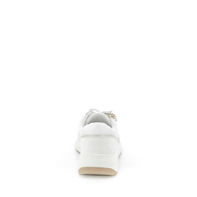  | 252XW1A7