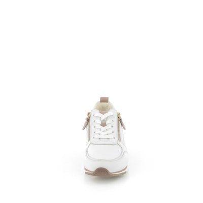  | 252XW1B2