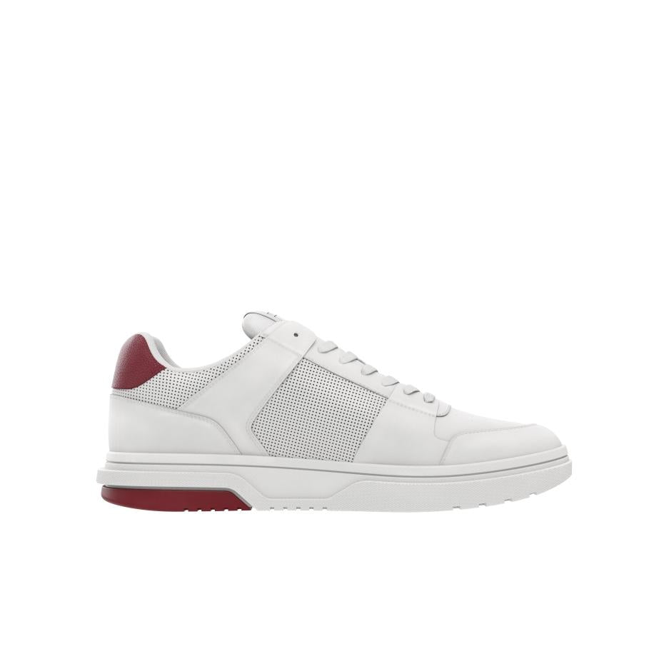  | 252XS281