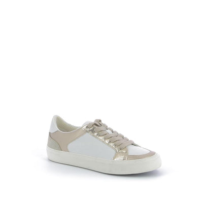  | 252XW300