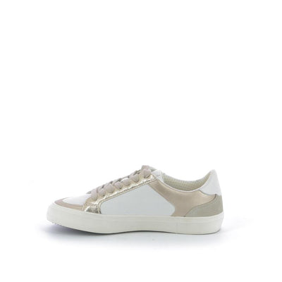  | 252XW300