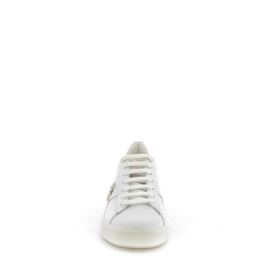  | 252XW301