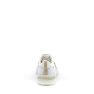  | 252XW301