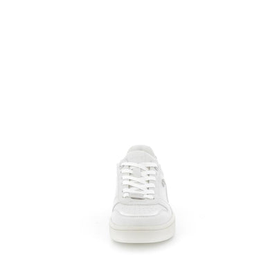  | 252XS308