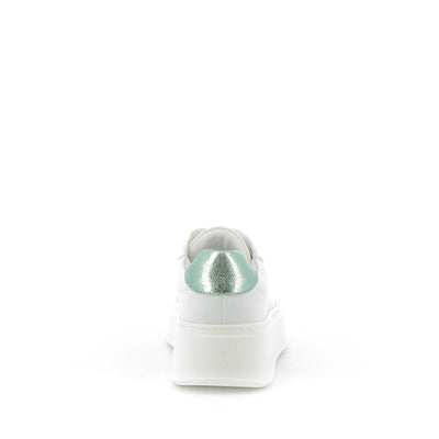  | 252XS523