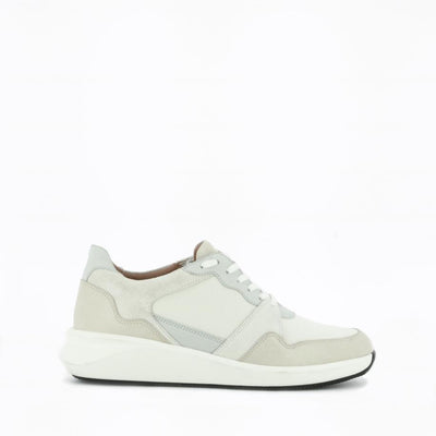  | 252XW525