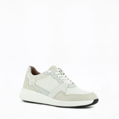  | 252XW525
